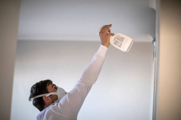 Best Local Mold Removal Service  in Edburgh, IN