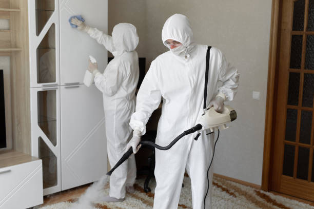 Crawl Space Mold Removal in Edinburgh, IN