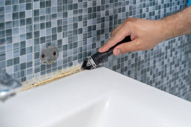 Best Mold Cleaning Services  in Edburgh, IN